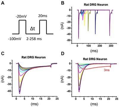 Differential expression of slow and fast-repriming tetrodotoxin-sensitive sodium currents in dorsal root ganglion neurons